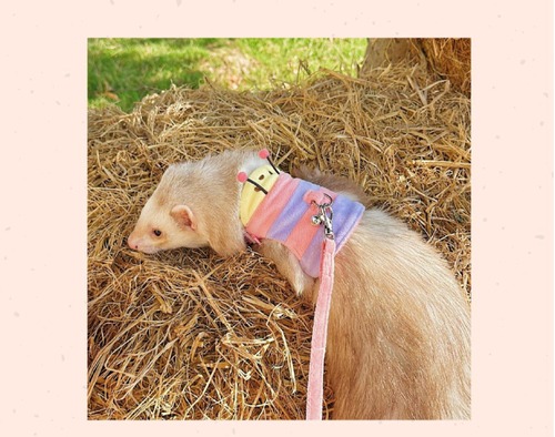 いもむし柄　ハーネス　