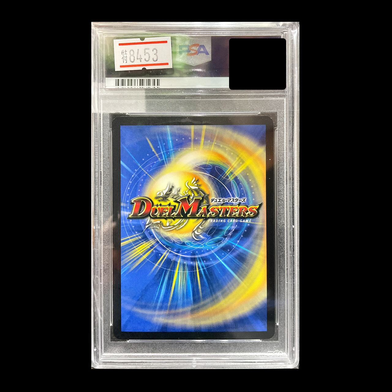 天空の守護者グラン・ギューレ　PSA9