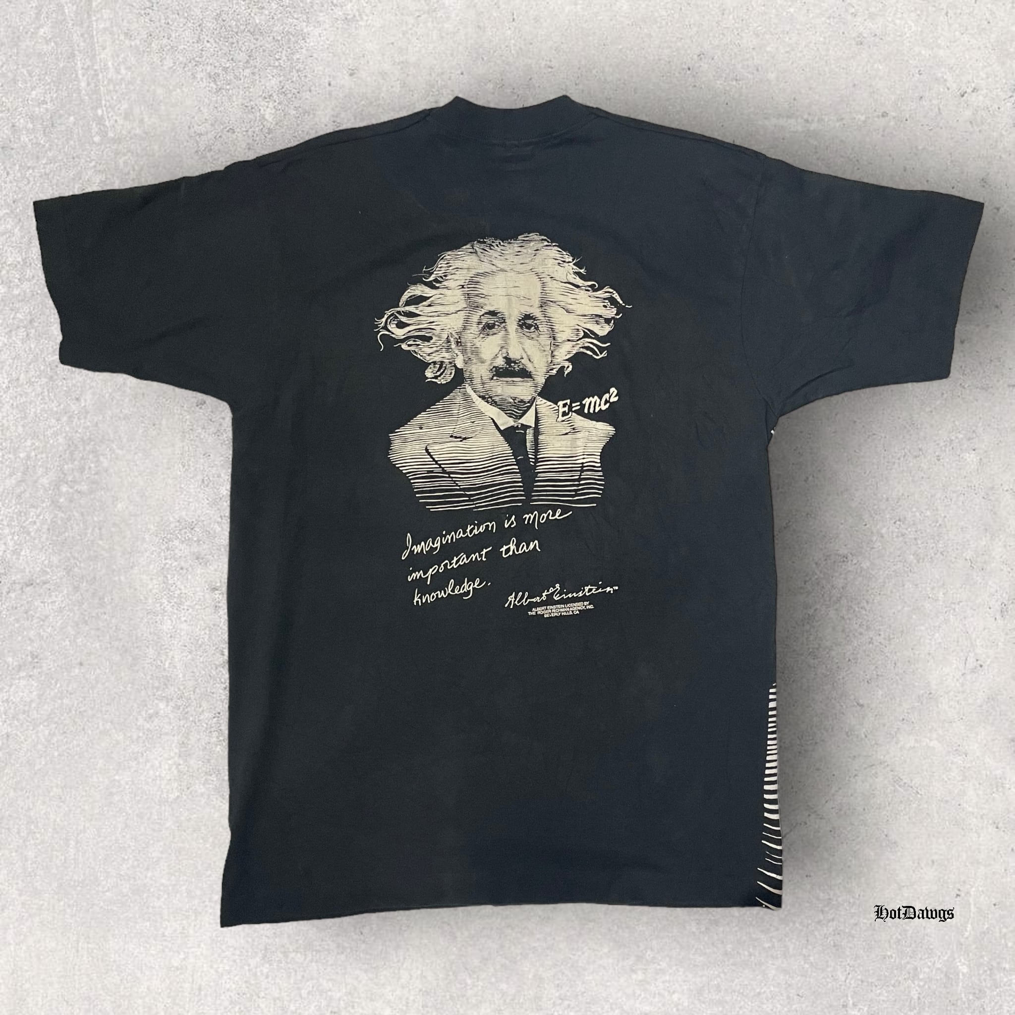 安い Albert アインシュタイン 90s Einstein Tシャツ ヴィンテージ T