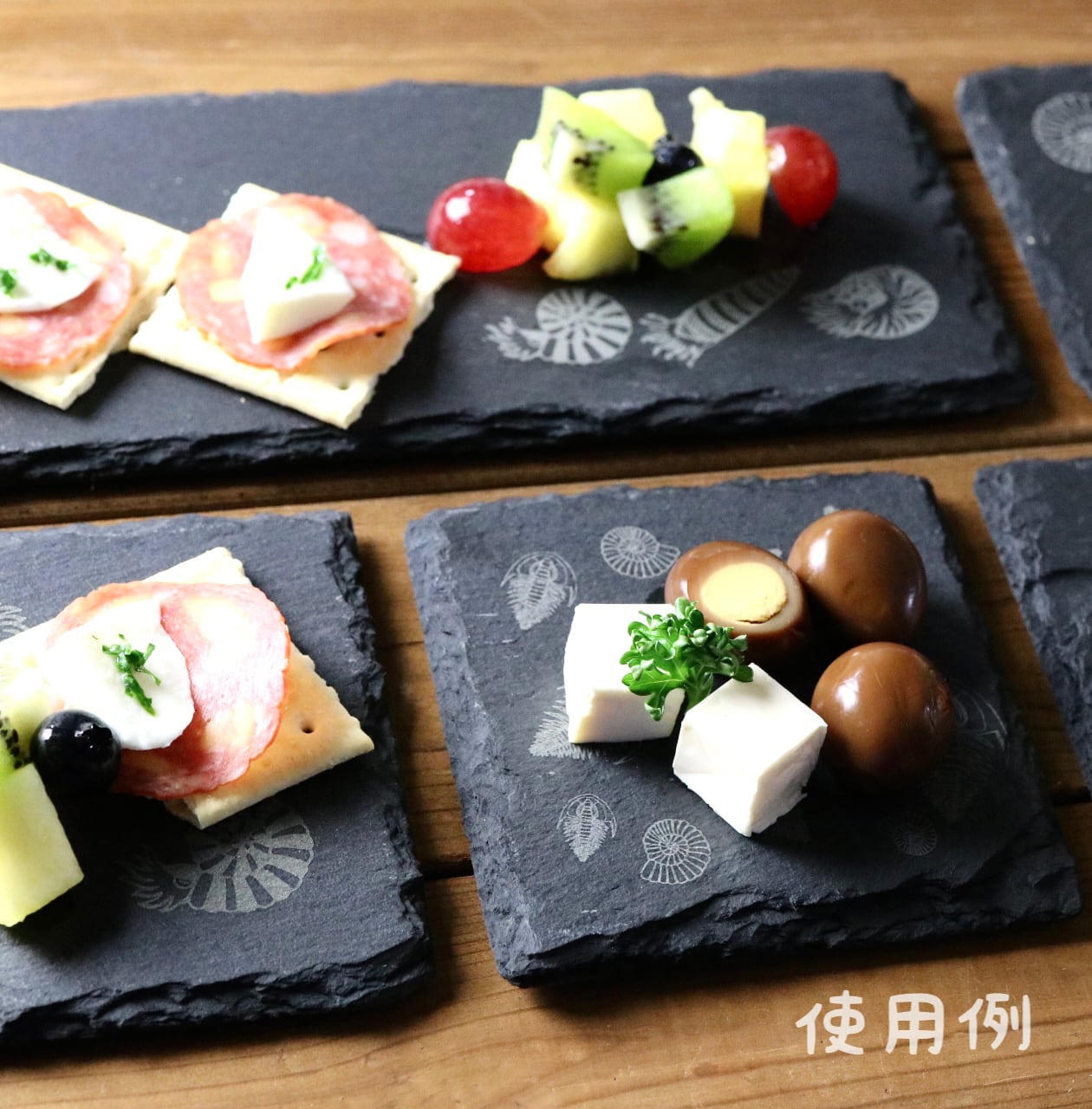 古代プレート :L 〈 アンモナイト化石 〉 | 樹源 ‐KiGen‐