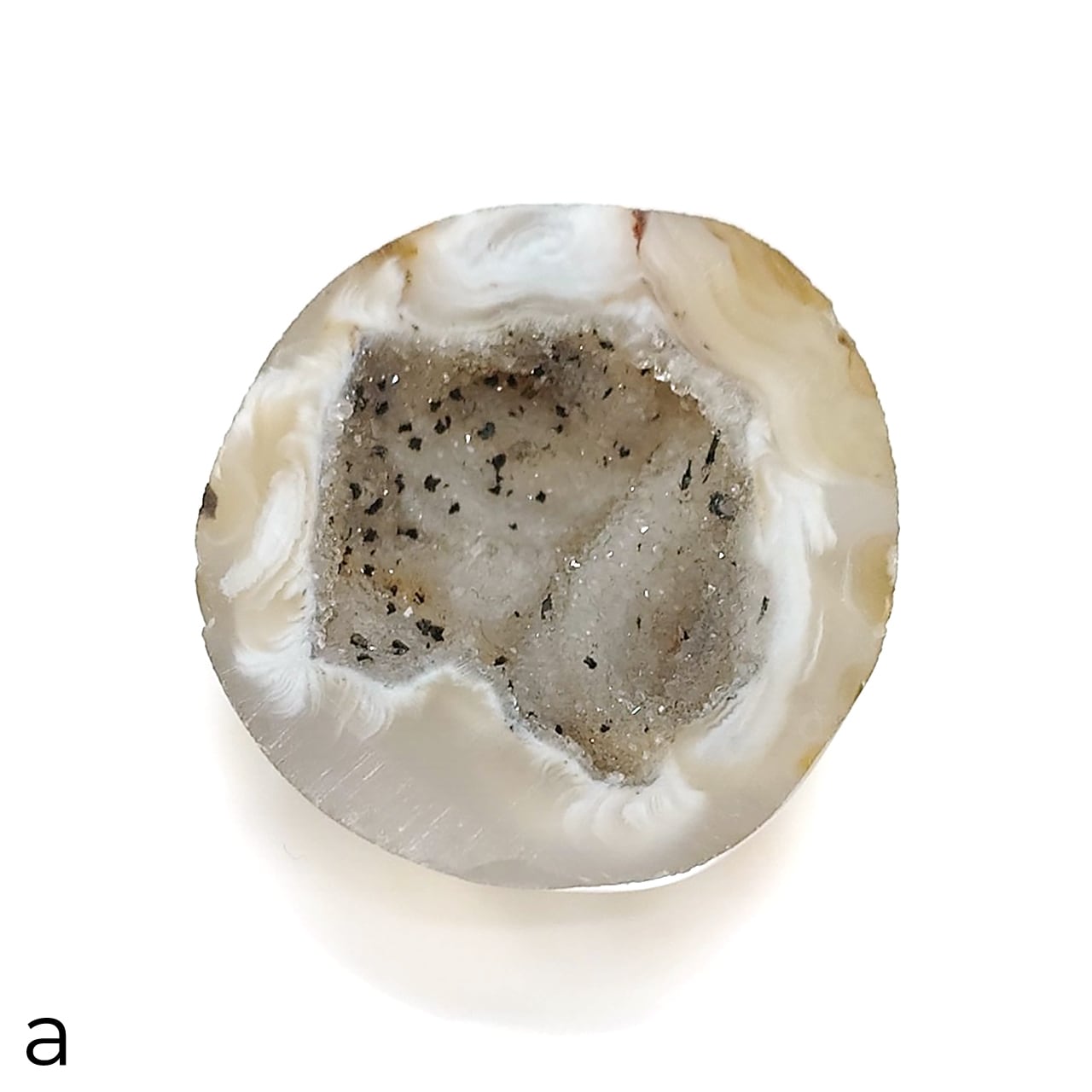 ストーンカメオ ルース バセットハウンド 犬 瑪瑙 メノウ ストーンカメオ 36.5ctの買取実績｜色石BANK