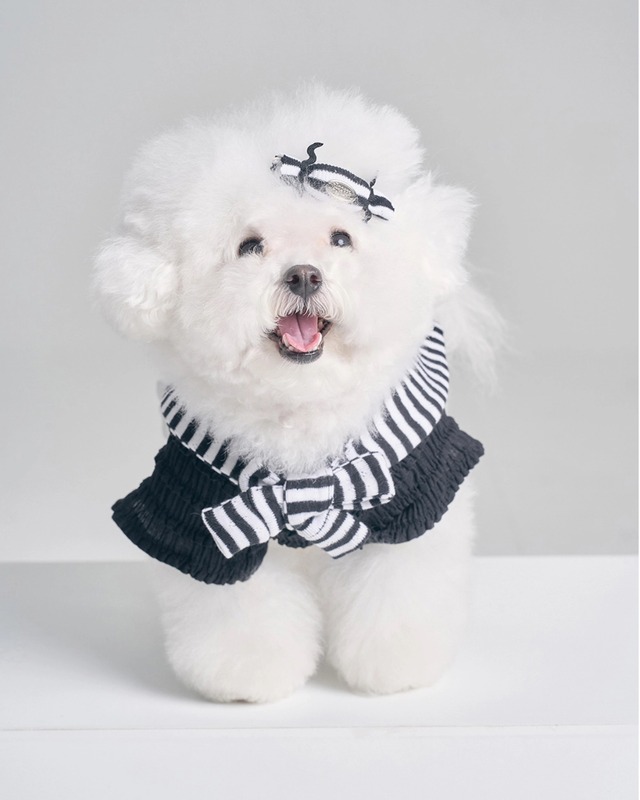 〈 予約アイテム 〉BOOCCE / LOVE CANDY ヘアピン（レッド）