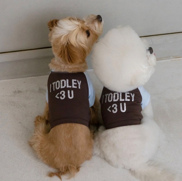 【予約】[TODLEY] Todley Love U Cool Tee For my Dog（BROWN/BLUE）