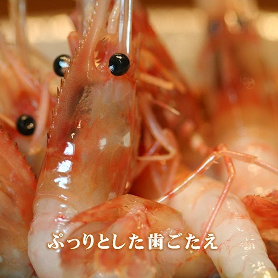 お刺身用 ボタンエビ500グラム 1パック18尾前後 北海道めし