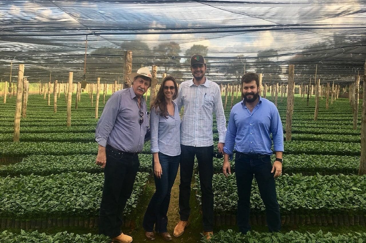 【ほろ苦】リオブリジャンテ農園Brazil