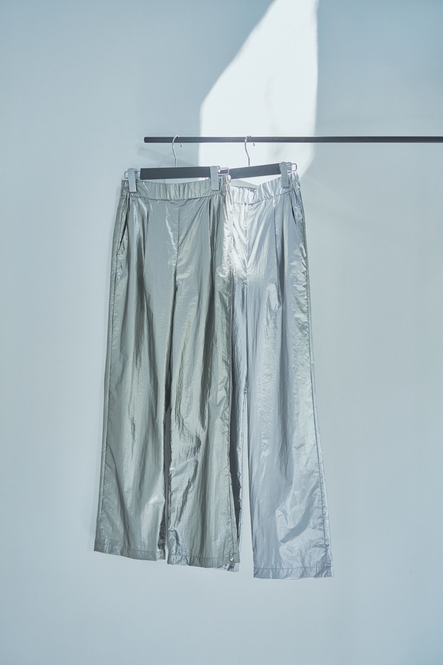 Metallic Shiny Pants