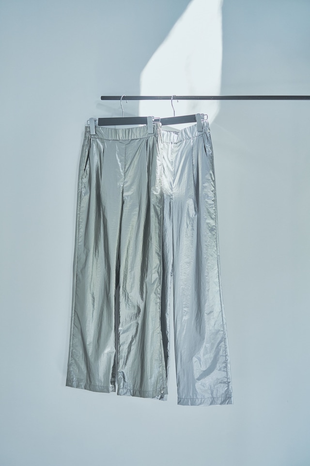 Metallic Shiny Pants