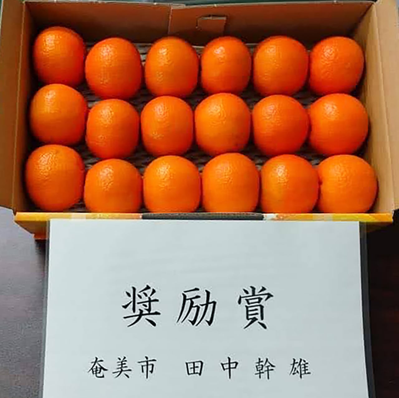 奄美大島産「たんかん」優品約5kg | あまみの果樹畑 あい