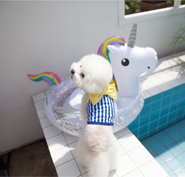 予約【coco chien】Eva Ribbon Swimwear (Crop)