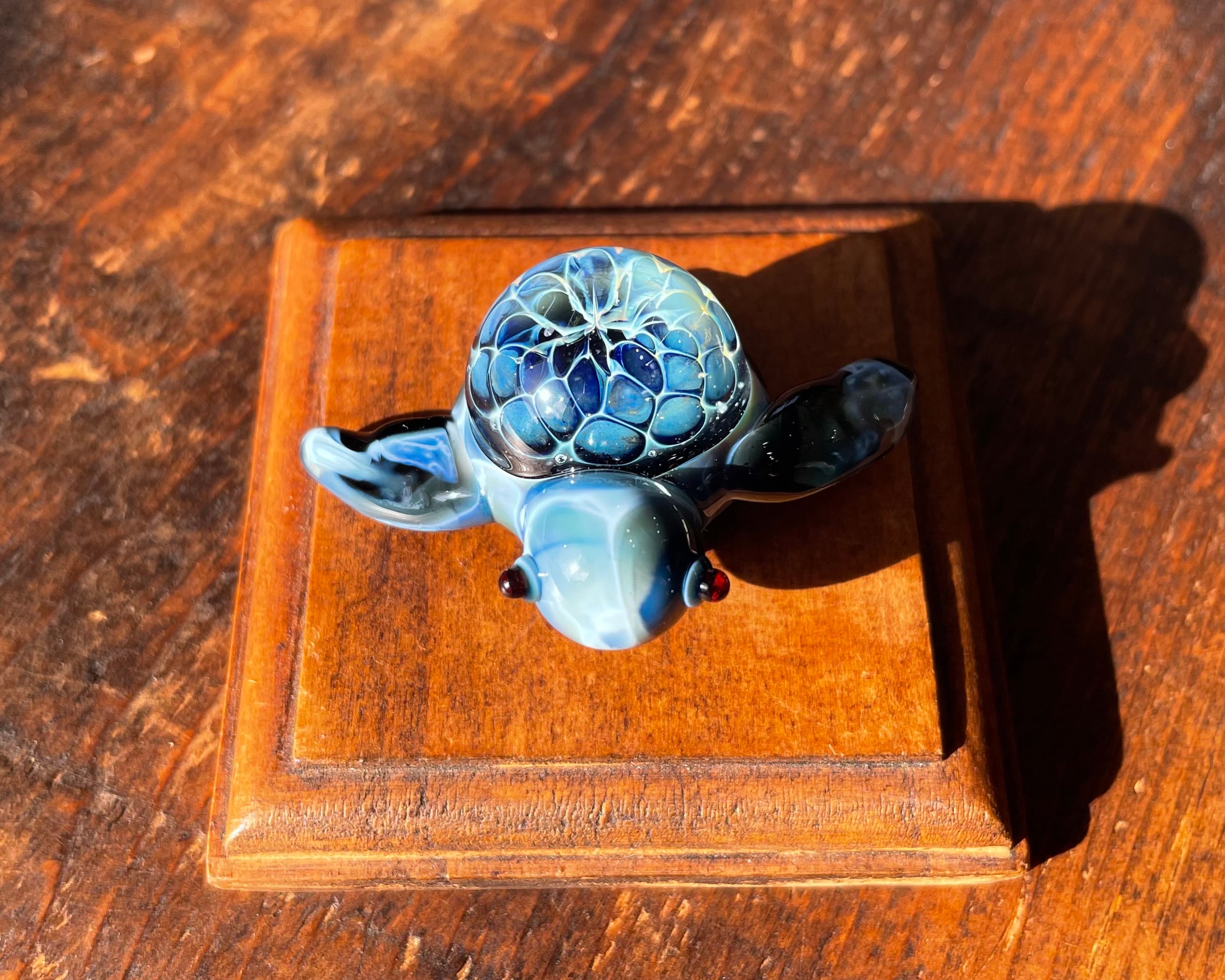 【Space Turtle】〜宙亀〜