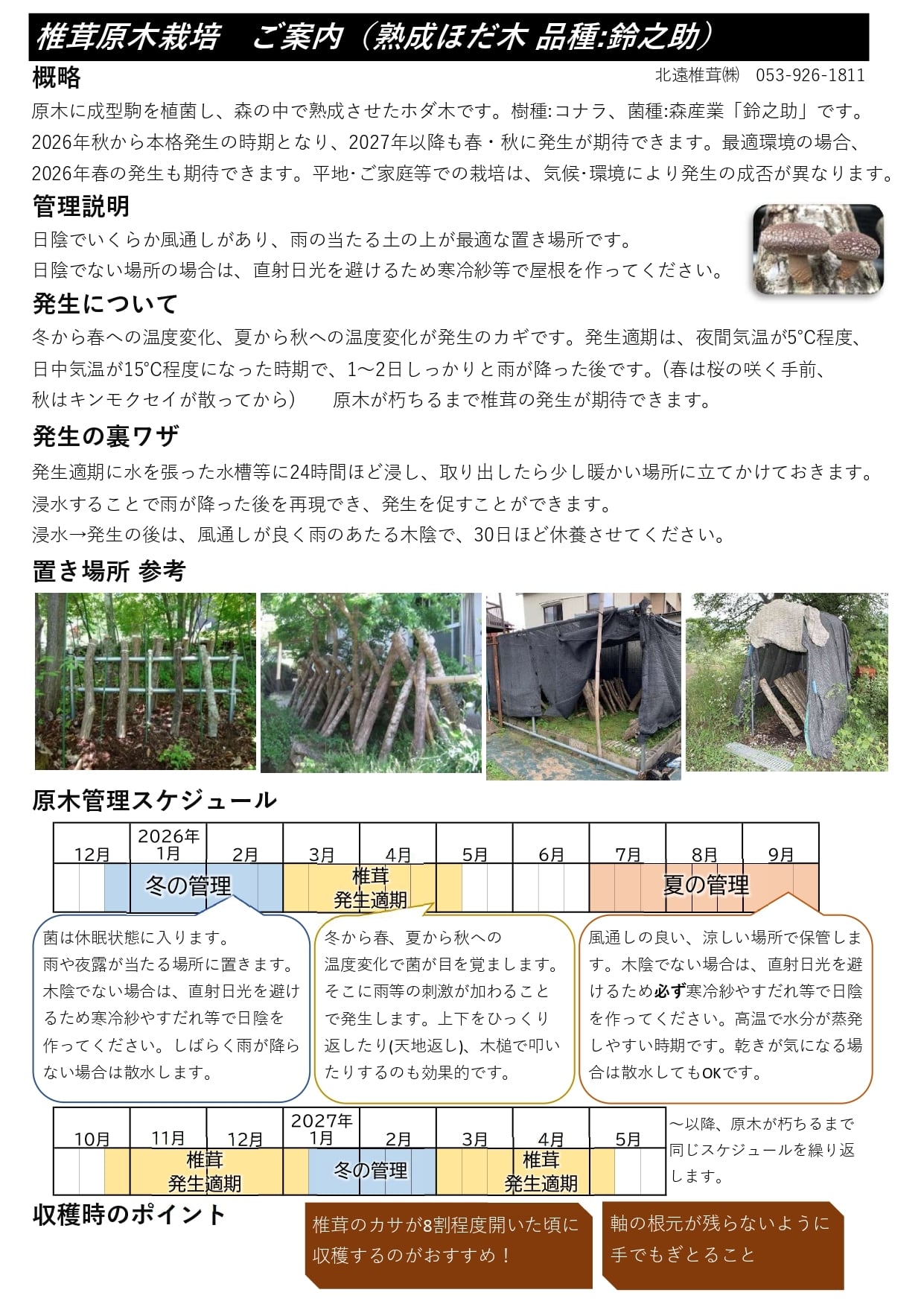 原木椎茸ホダ木2年目香川県より近県配送限定10本｜Www