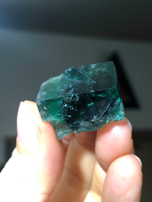 喜びが前提の人生へ、能力開花の石