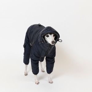 ダウンスノースーツ2024　black / イタグレ服