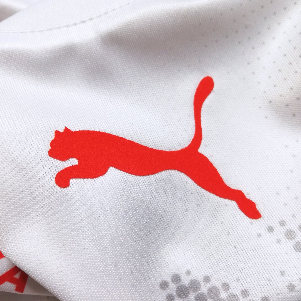 ポーランド代表 2006 Puma スポンサー付き スペシャル ユニフォーム