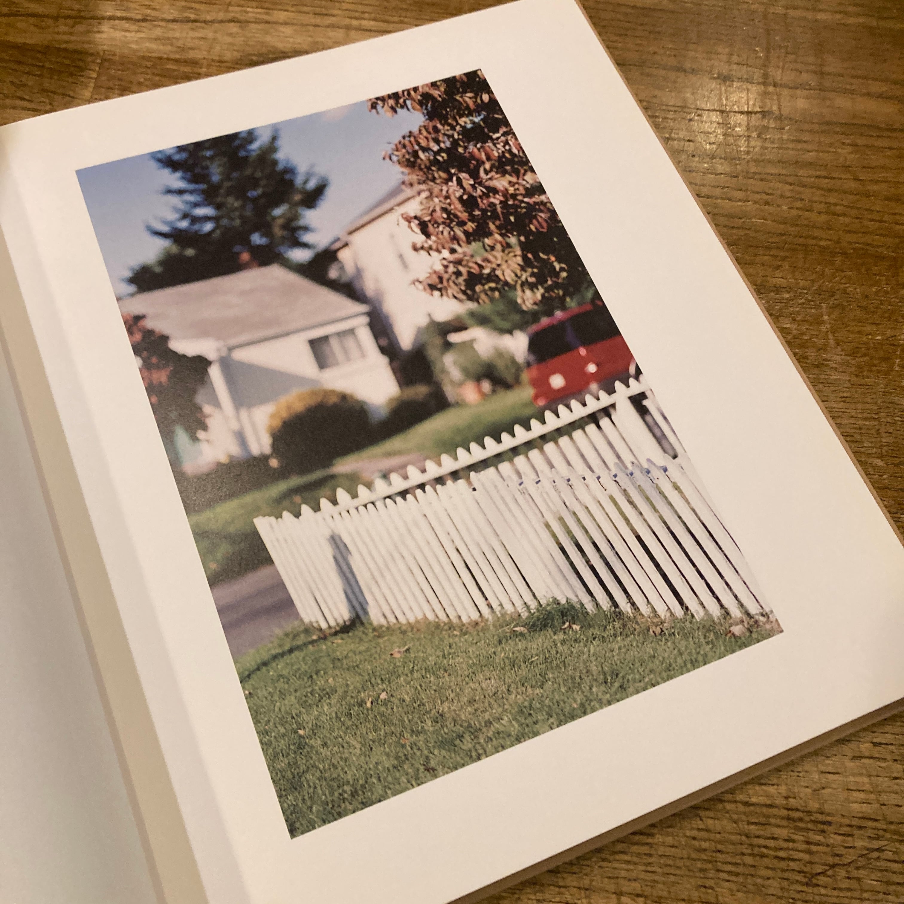 Between Maple and Chestnut / Terri Weifenbach テリ・ワイフェン