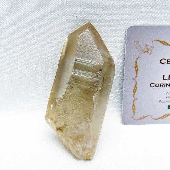 レムリアンシード シトリンクォーツ 原石 ブラジル ミナスジェライス州 コリント産 一点物 171-7327