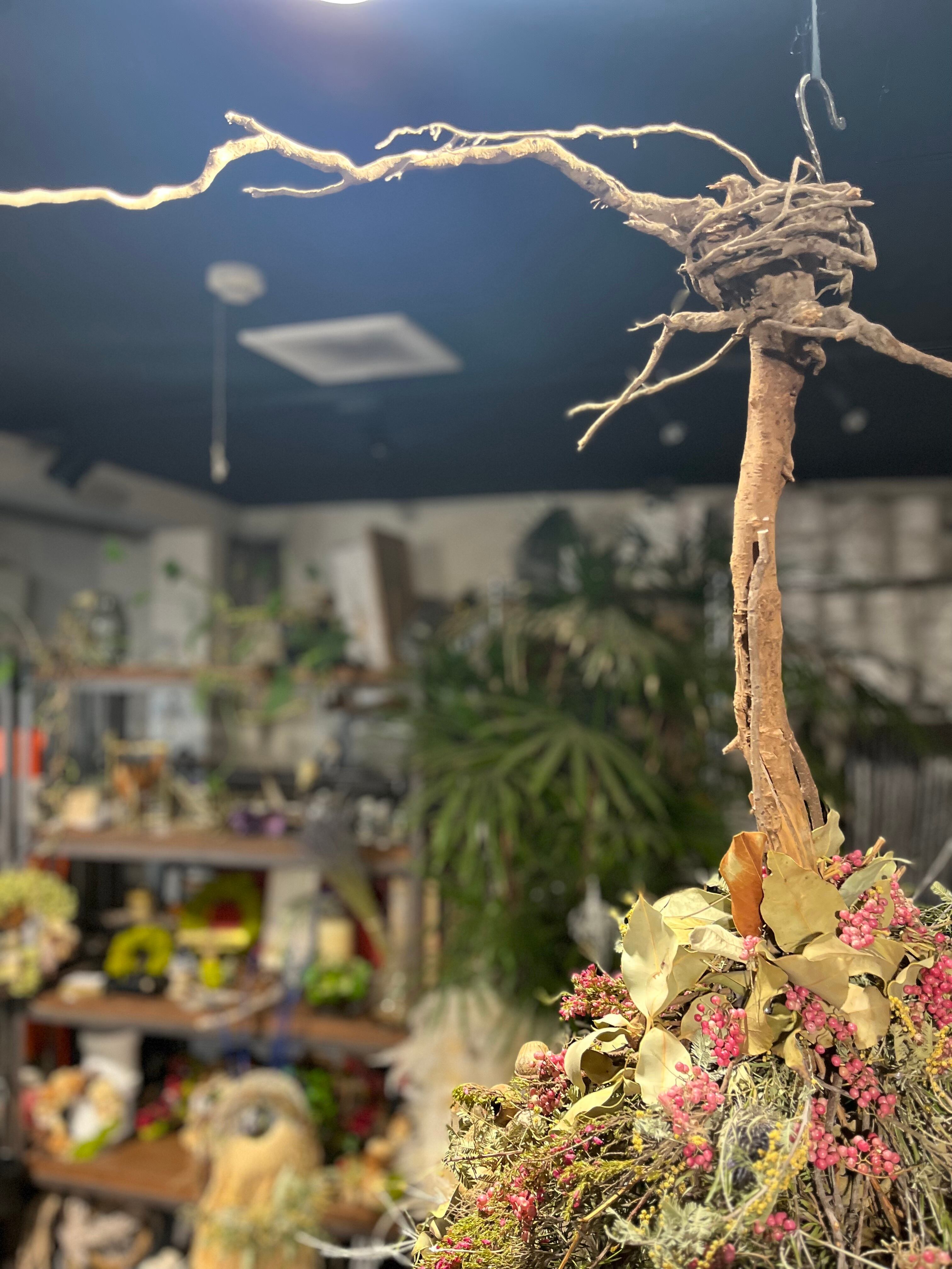 逆さツリー Dried flower