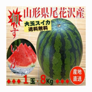 早期予約受付中　山形県産　ご家庭用　尾花沢すいか　1箱 約 1玉（約 ８kg /３Lサイズ）送料無料