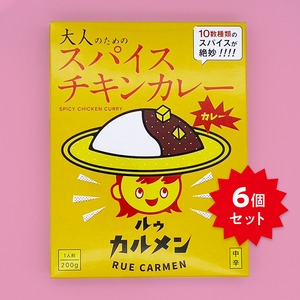 【レトルトカレー】大人のためのスパイスチキンカレー　６個セット