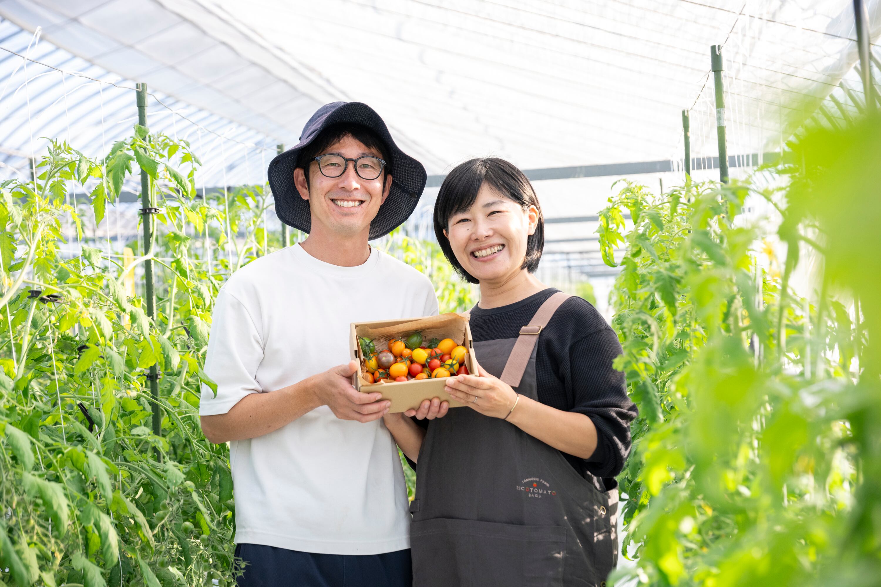 10%OFF】リコトマト定期便月に一度のお楽しみ全3回 | RICOTOMATO/たに