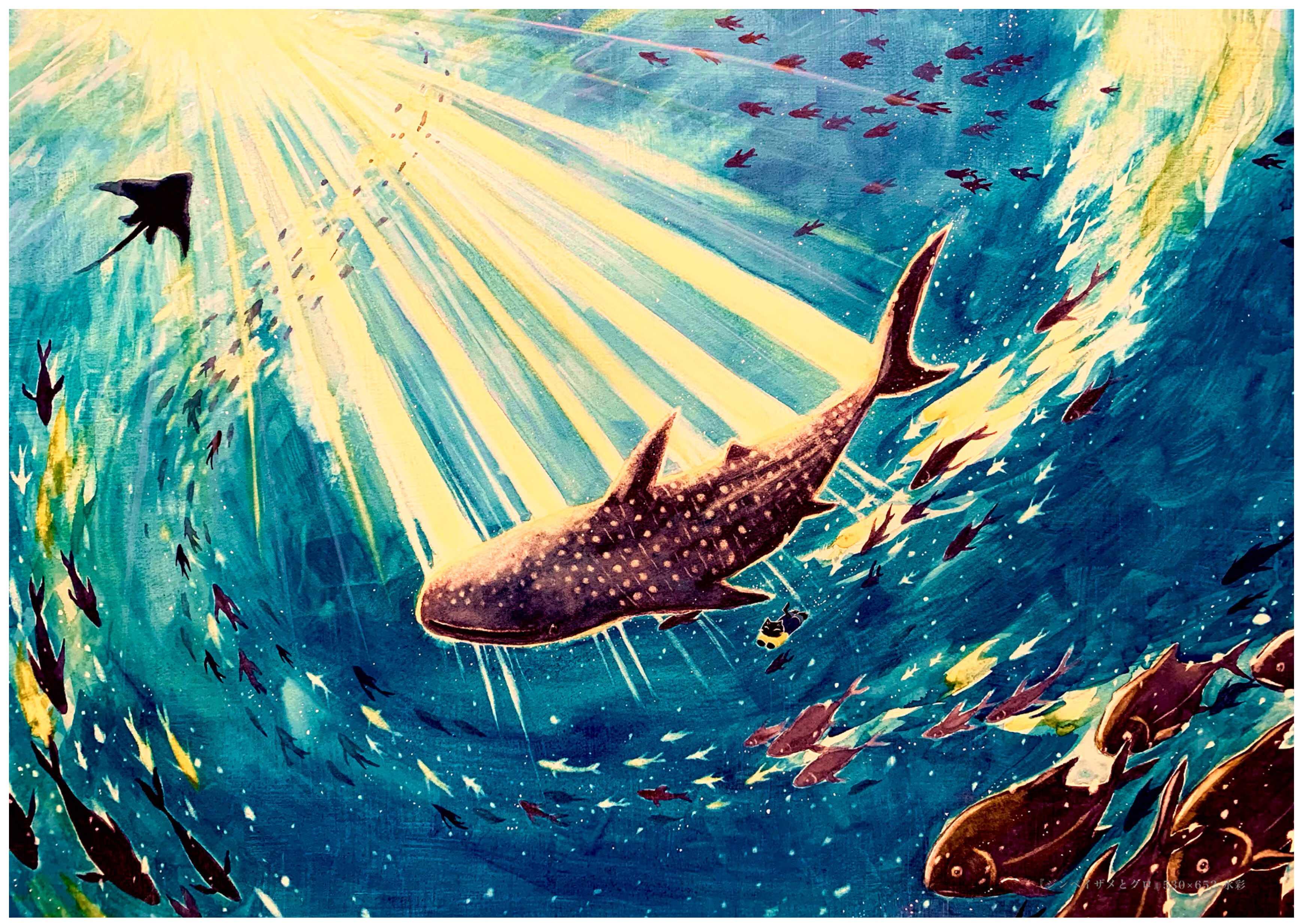 海と猫 ／ 眞白しろ助 | Arquet