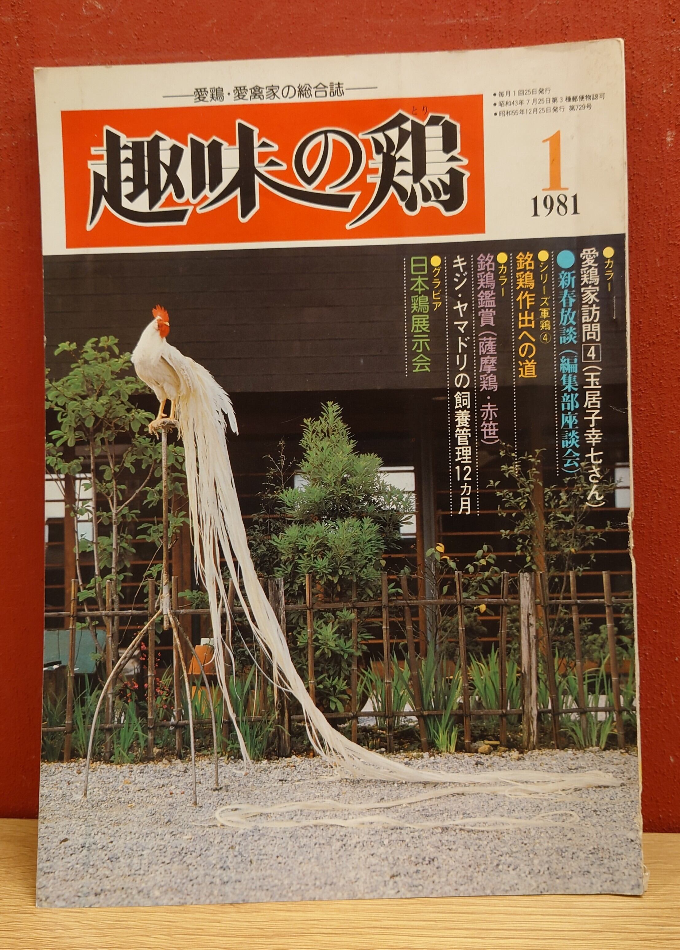 愛鳩の友 1981年1.2.5.6.8.9.10.11月 愛鳩の友 1981年1.2.5.6.8.9.10.11月
