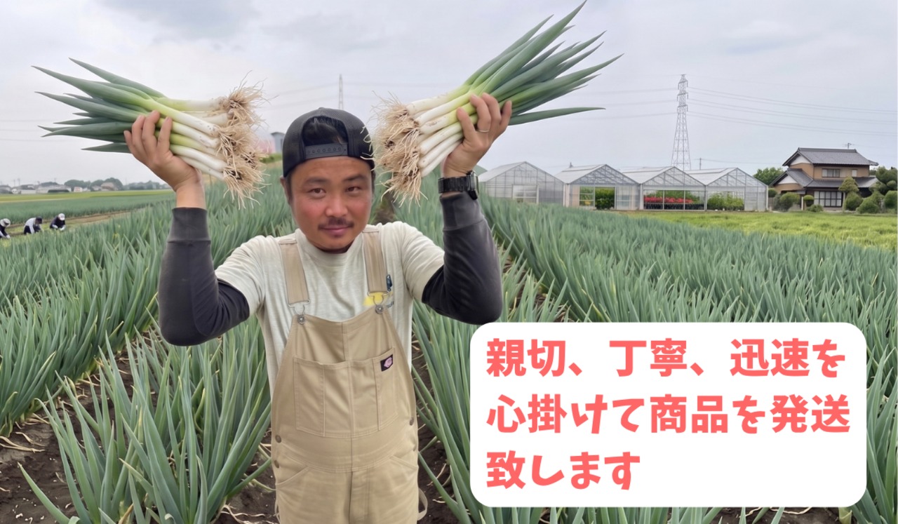 深谷蜜ねぎ2,5キロ