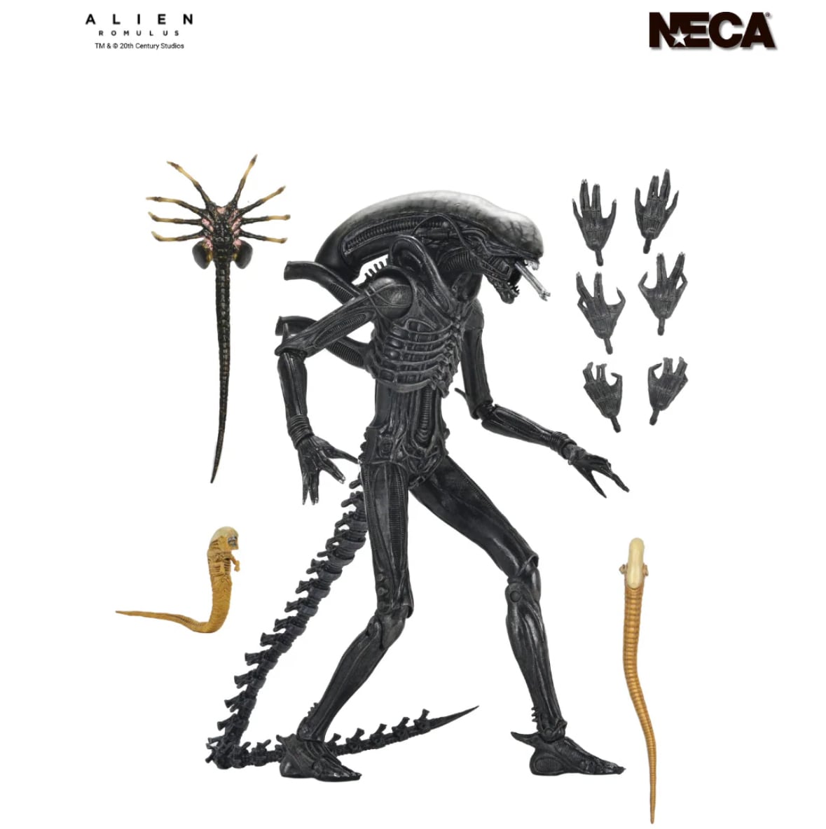 その他 | アメトイショップHi-Gimmick