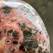 ジャスパーアゲートパーム*0511*天然石インテリア*置き物