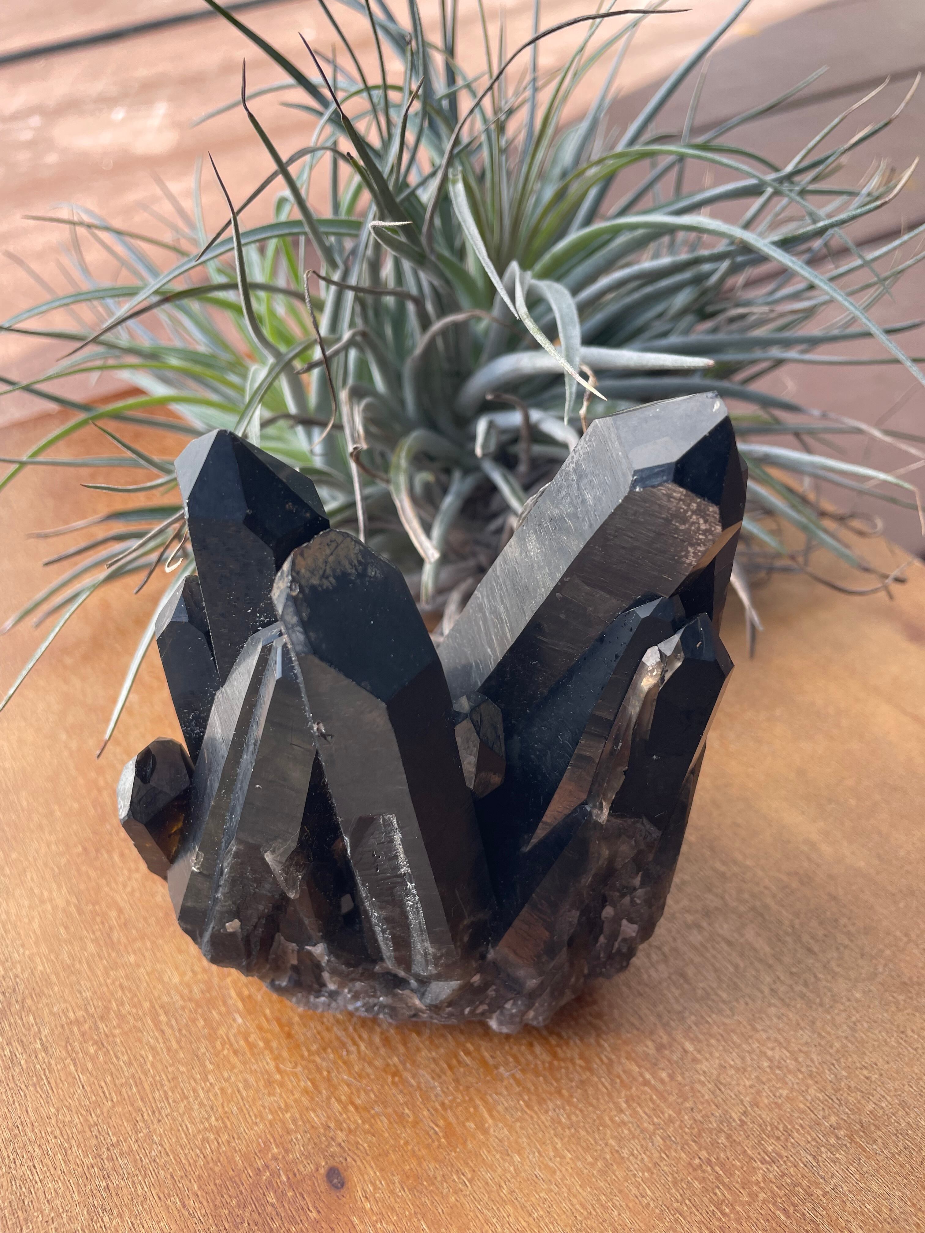 Pino ふれっしゅじぇむ