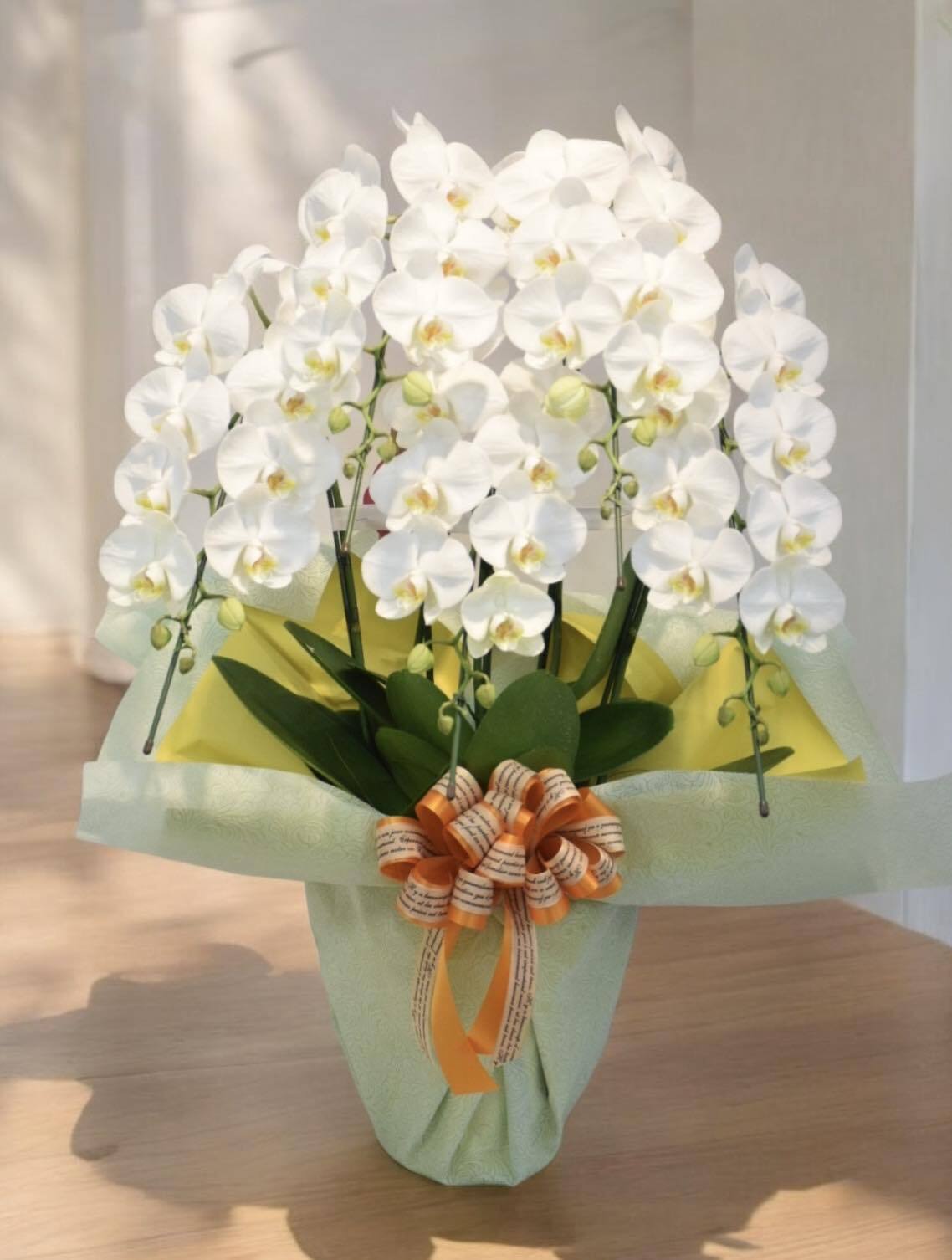 ホワイトロビンソン 5本立 | 有花園 ONLINE SHOP