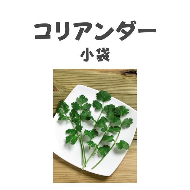 コリアンダー　ハーブ種子・小袋