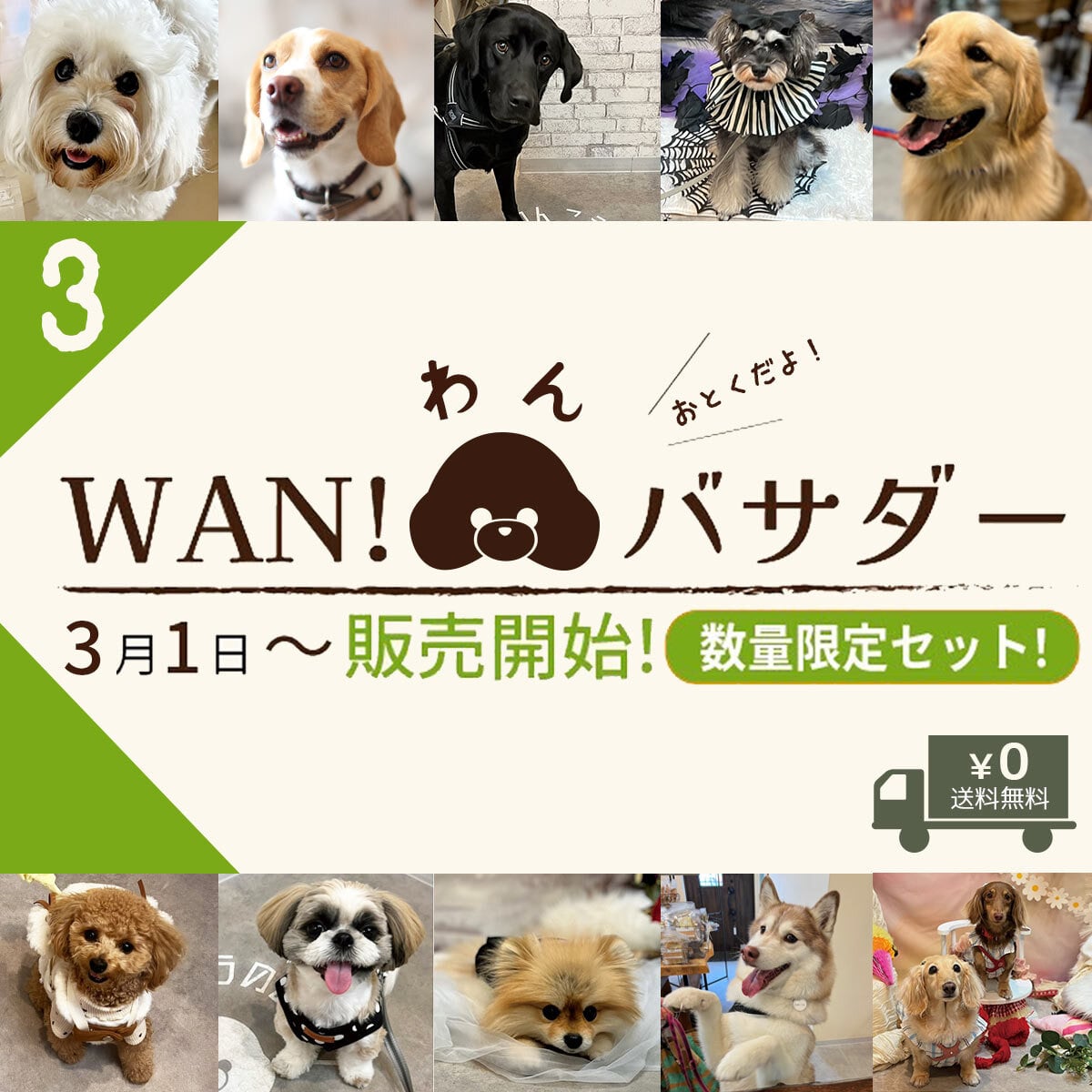 WANバサダー2点セット【2026年3月分】数量限定!《全犬種用》送料無料 #wanバサダー WANBASSADOR ワンバサダー (鹿肉・鶏肉・いのしし・おさかな・アラカルト・大地の恵み・SWEETS・wanbassador )