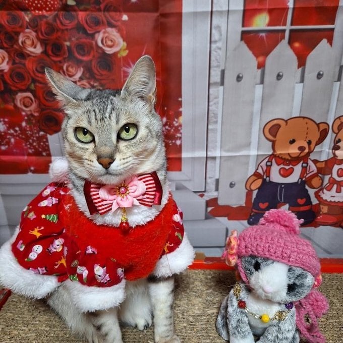 犬猫チョーカー プチサイズ 定番の4枚花びらチョーカー リボン 犬用 猫