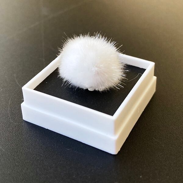 オーケン石 オケナイト（Okenite)直径約13mm コレクションケース