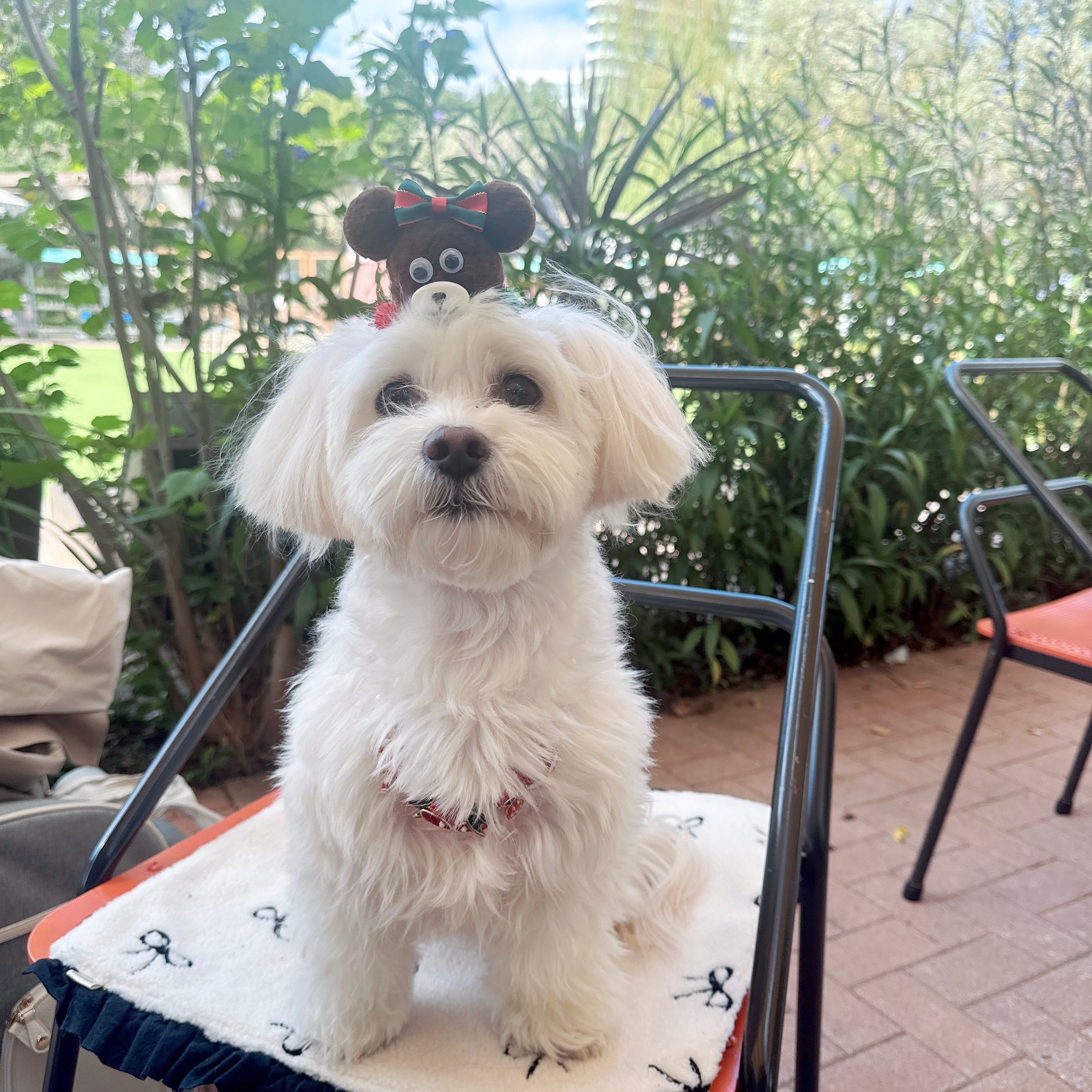 ホワイトリボンの大きなクマさんヘアバンド