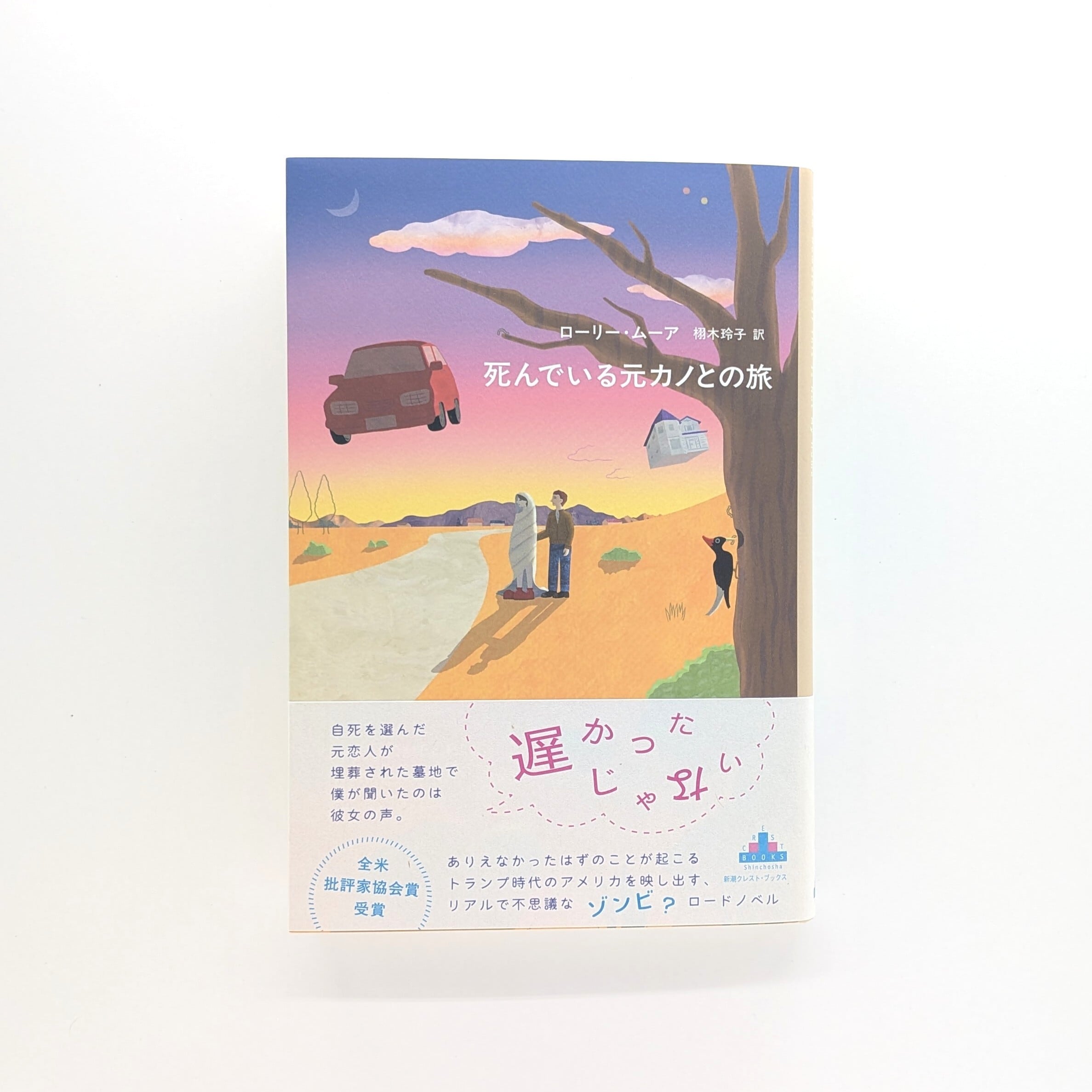 寝ぼけ眼のアルファルファ　山名昇 第1音楽散文集 寝ぼけ眼のアルファルファ：山名昇第一音楽散文集(山名昇) / 古本