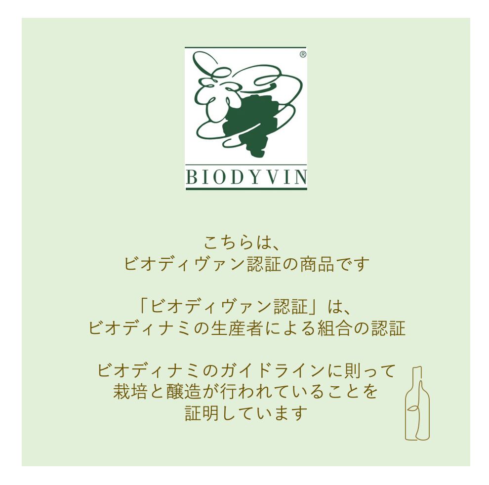 【ドメーヌ・アルベール・マン】 アルザス リースリング 2020