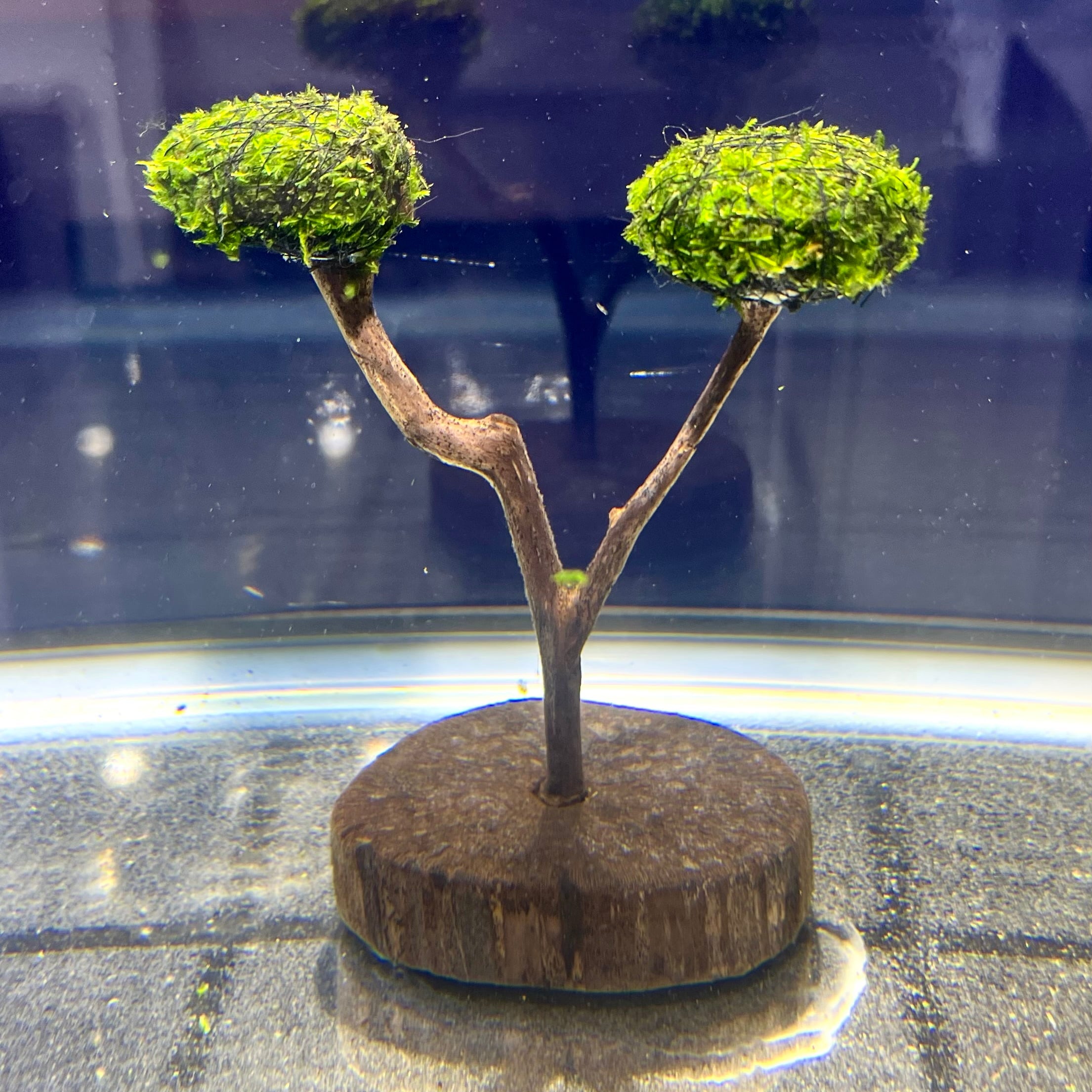 格安厳選　お盆提灯【岐阜提灯：松印黒青菊】一対入り セット・高さ80cm×火袋径33cm盆ちょうちん行灯　送料無料