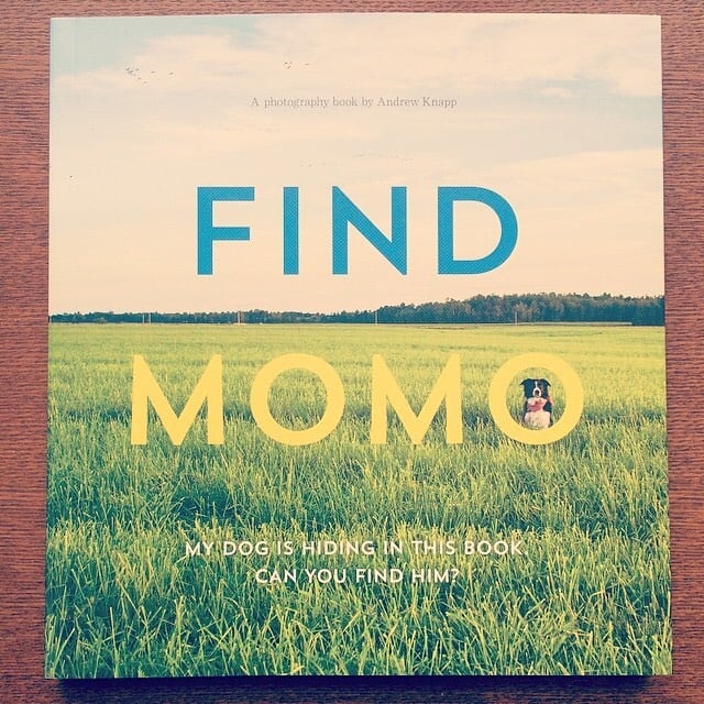 写真集「Find Momo／Andrew Knapp」 - 画像1
