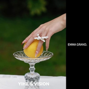 星雫を運ぶ白兎のドリームランリング E00651