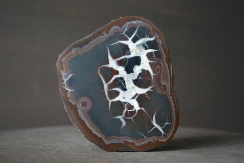 セプタリアン Septarian 1276