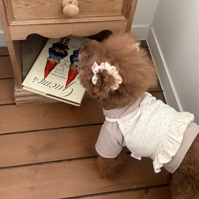 【予約】[tak!tak!tak!tak!] floral bustier（beige）