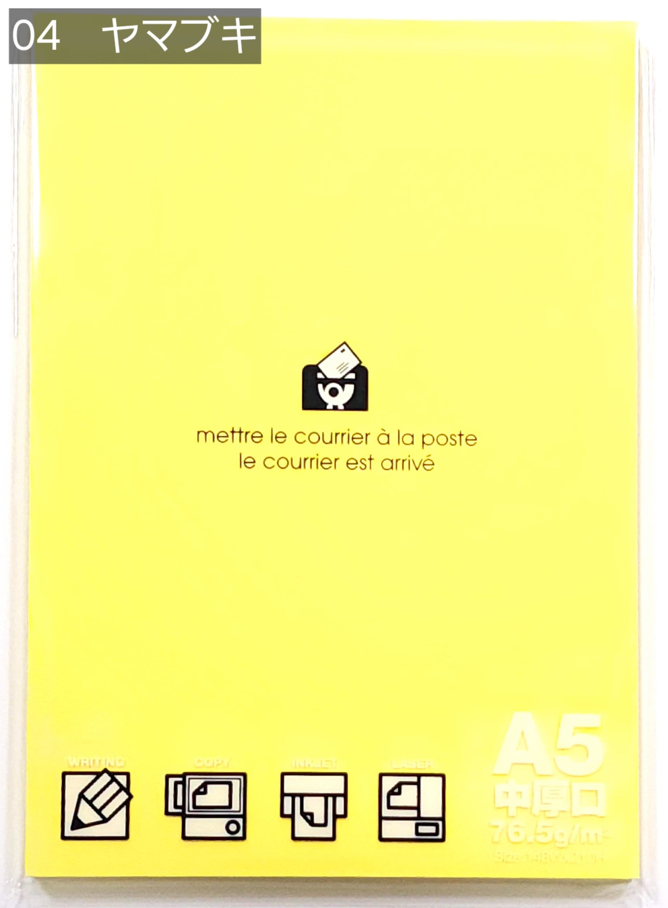 エトランジェ】フリーペーパー A5 パステル | Conte' | コンテ