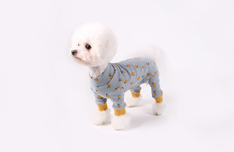 犬服　＊Lemon＊　ハンドメイド Lemon All-in-one S ~ XL 2color / 犬服 秋冬 新作 可愛い 犬の服