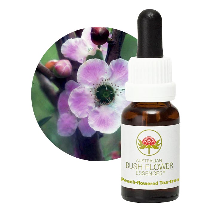 専用】ウーマン『女性』オーストラリアンブッシュ フラワーエッセンス