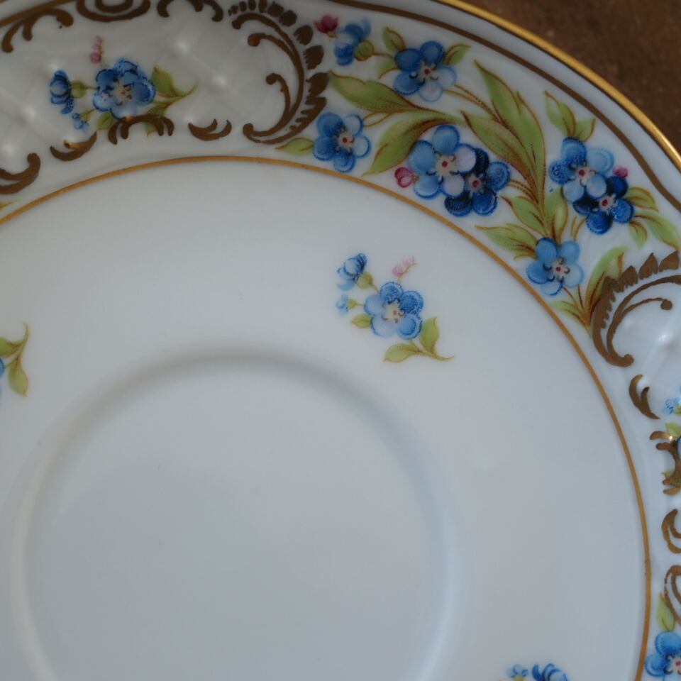 訳あり】シューマンババリア 勿忘草 カップ＆ソーサーB ドイツ