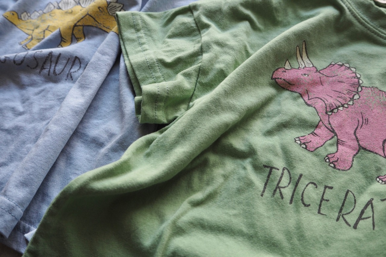 【lala land】恐竜 Dinosaur Tシャツ - 3