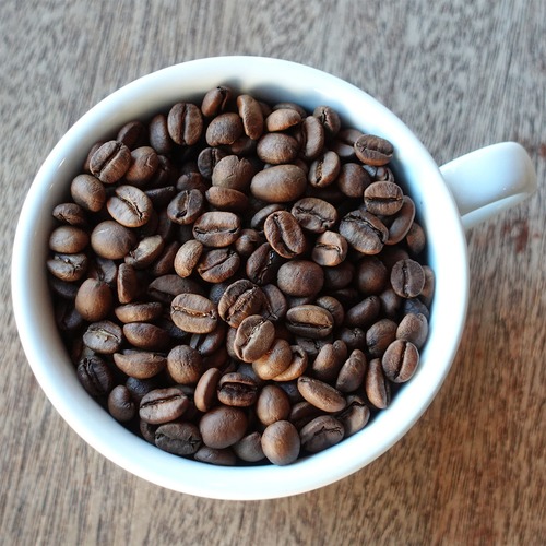 Panama ABU TN-5260 Catuai Double Phase Anaerobic（アブ農園  カトゥアイ ダブルフェイズ アナエロビック）浅煎り　23g