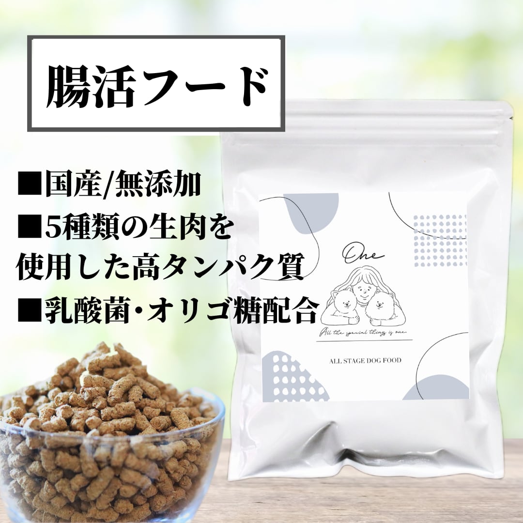 One　国産　ALLMIX　無添加　200g【送料無料】　お試しサイズ　グルテンフリー　腸活　ノンオイルコーティング　ドッグフード　ONE　ドッグフード